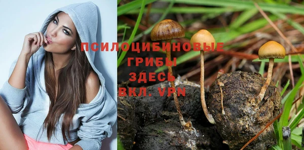 прущая мука Белокуриха
