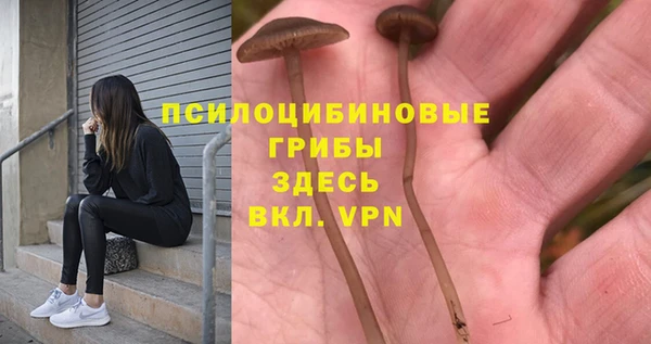 первитин Беломорск