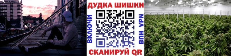 Шишки марихуана гибрид  купить наркоту  Туапсе 